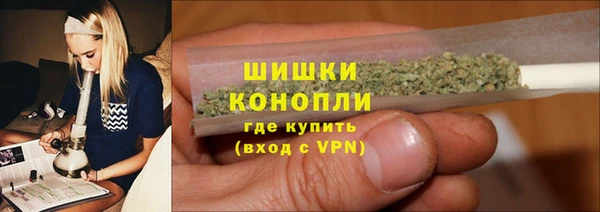 трава Арсеньев