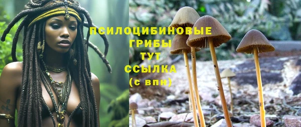 марки nbome Аркадак
